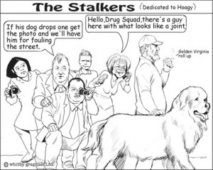 THE_STALKERS
