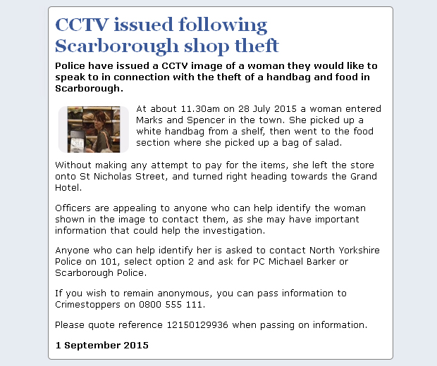 NYP_CCTV_Scarborough_Handbag
