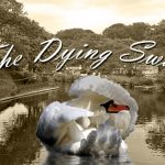 SBC: “The Dying Swan”
