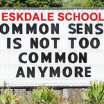 Eskdale: Time for Common Sense