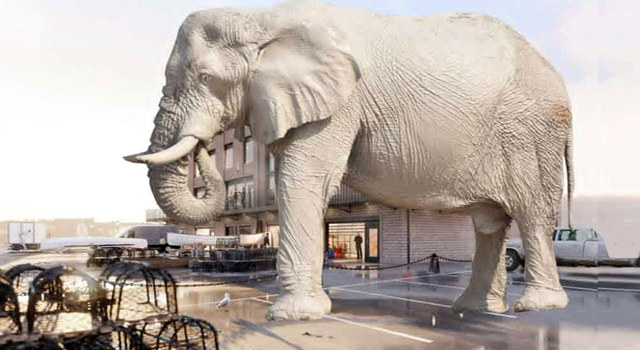 NYC’s Elephantasy Island?