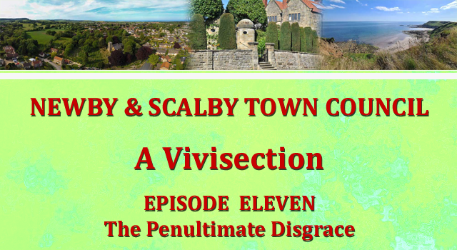 Newby & Scalby Town Council: A Vivisection
