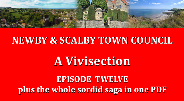 N&STC: Ep.12 plus FULL STORY